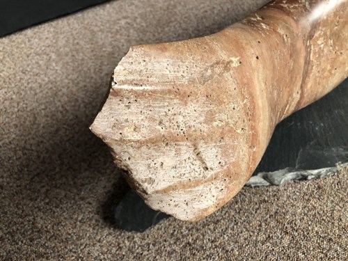 Lot 155 - Tsugumi Ota, (Japanese, born 1951), a carved marble fish sculpture