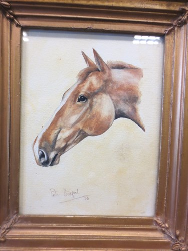 Lot 267 - Peter Biegel, Study of a horse, watercolour 20...