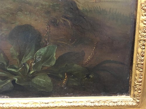 Lot 289 - Attributed to Jakob Bogdani  (Hungarian, 1660-1724)