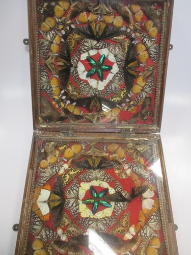 Lot 165 - A Country House cased 'Butterfly' collection