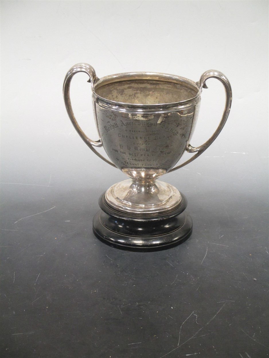 Lot 191 - A silver trophy cup 27.4oz