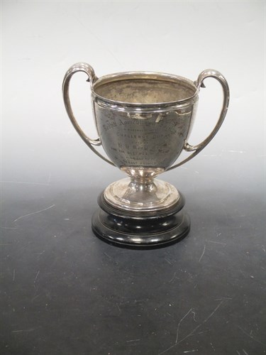 Lot 191 - A silver trophy cup 27.4oz