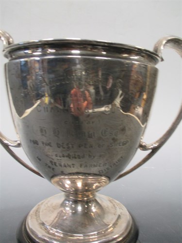 Lot 191 - A silver trophy cup 27.4oz