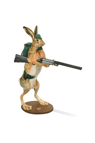 Lot 22 - A novelty taxidermy hare mount