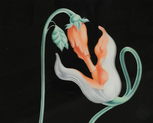 Lot 146 - Gerald Scarfe  (British, b. 1936)