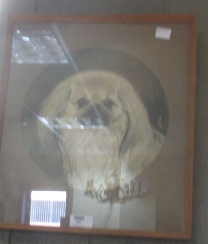 Lot 281 - William Harris Weatherhead - study of a Pekinese Dog, watercolour 24cm diameter