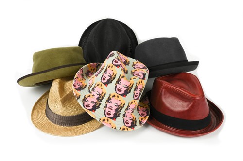 Lot 44 - A collection of eleven mostly trilby type hats