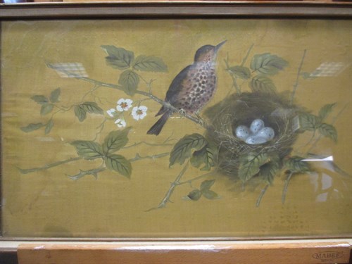 Lot 443 - Alice Moore (British, 19th Century), Songbirds,...