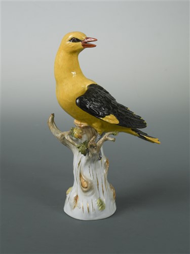 Lot 11 - A Meissen model of a Golden Oriole, circa 1900