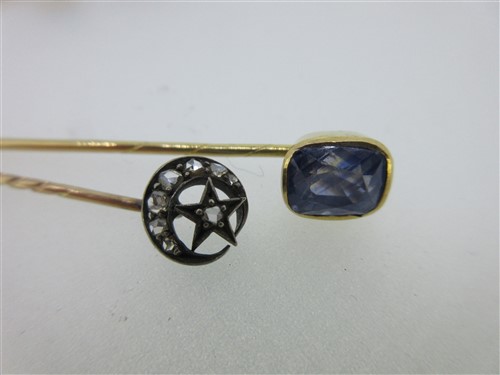 Lot 227 - A star sapphire stick pin and six others set with jewels