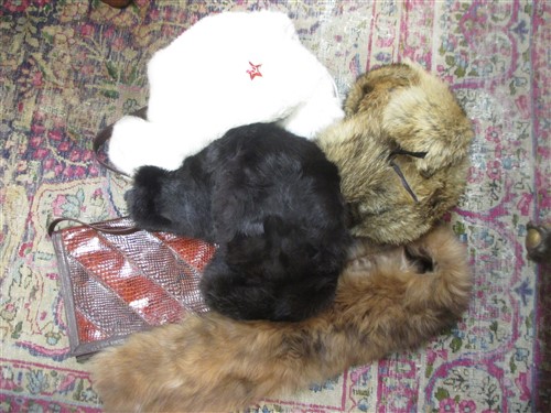 Lot 175 - Three Russian fur hats together with two...