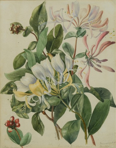 Lot 38 - W French, 19th Century