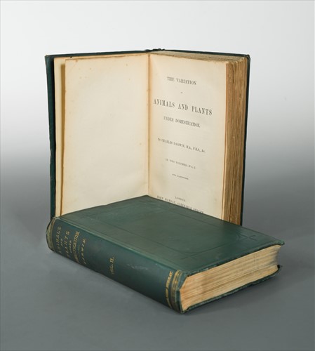 Lot 241 - DARWIN (Charles)