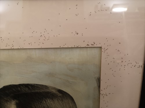Lot 306 - Stephen  Conroy  (Scottish  1964-)
