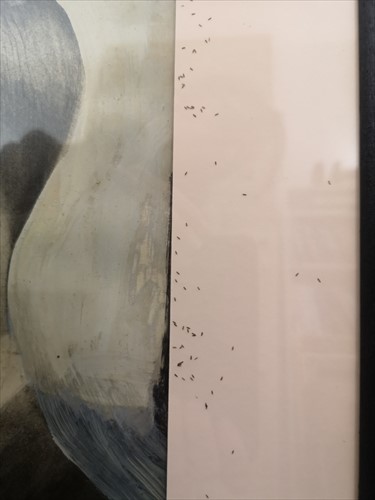 Lot 306 - Stephen  Conroy  (Scottish  1964-)