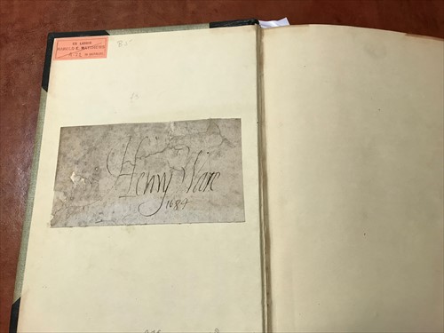 Lot 115 - MAYNE (Jasper)