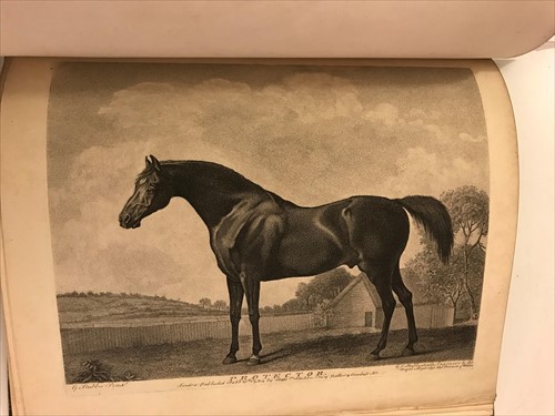 Lot 162 - STUBBS (George & George Townly)