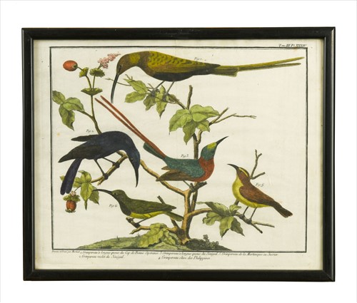 Lot 29 - Francois Martinet