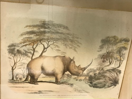 Lot 21 - Sir William Cornwallis Harris