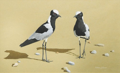 Lot 170 - Robert Gillmor (British 1936-)