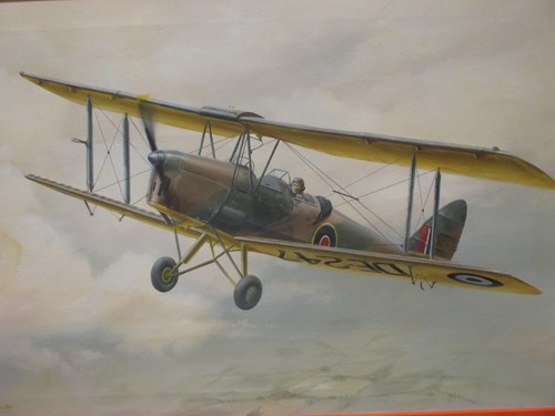 Lot 397 - J.W. Mitchell, Tiger Moth, oil on canvas...