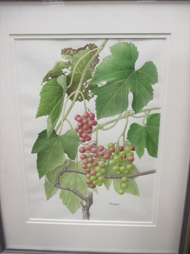 Lot 410 - Noboru Isogai, 'Pineapple Orchid', watercolour,...