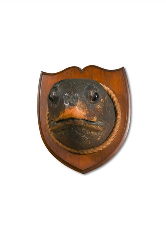 Lot 369 - A Victorian taxidermy leatherback Turtle head