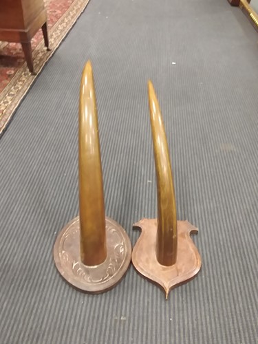 Lot 118 - Two South-East Asian ox horns, mounted on...