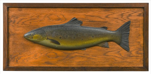 Lot 374 - A carved and painted wood half block model of a trout