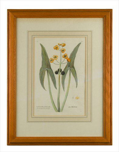 Lot 287 - A group of decorative botanical etchings
