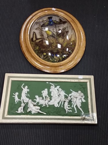Lot 132 - An oval glazed wall hanging bird taxidermy...