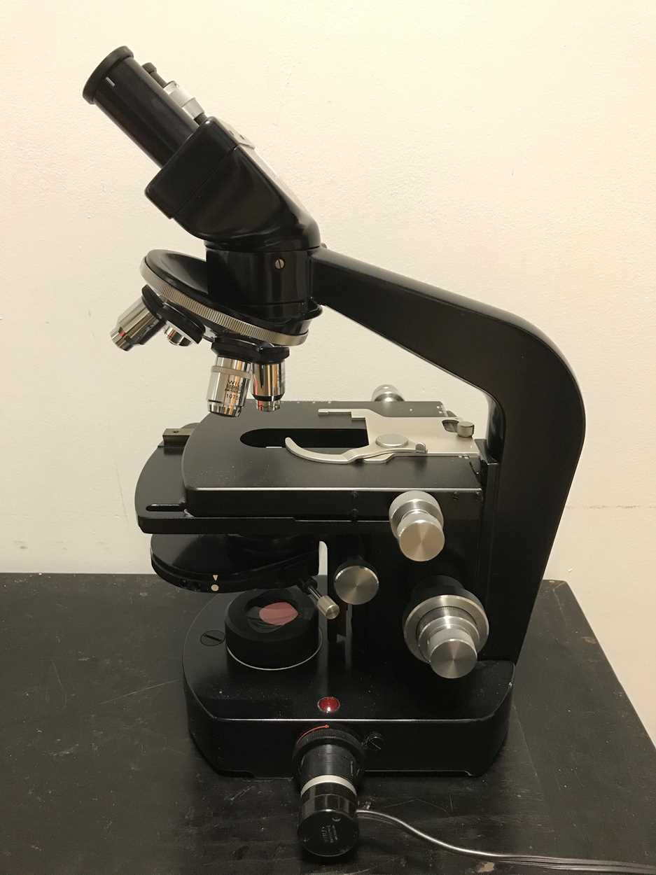 Lot 53 - Binocular microscope by Wild, Switzerland