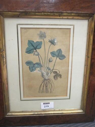 Lot 219 - Two coloured botanical prints, 'Published as...