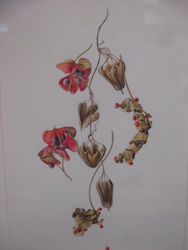 Lot 225 - Jessica Tcherepnine ASBA (British 1938-)