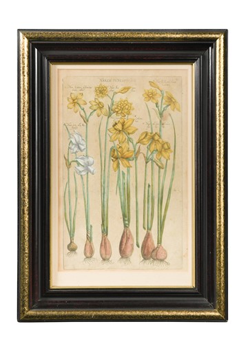 Lot 390 - Emanuel Sweert (Dutch, 1552–1612)