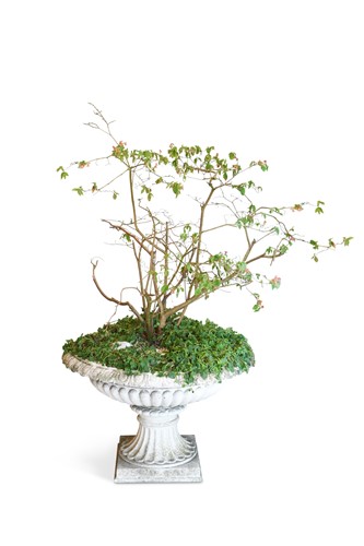 Lot 637 - A 19th century cast-iron planter