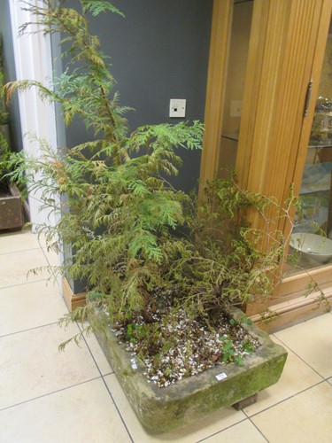 Lot 566 - An antique stone sink, now used as a planter...