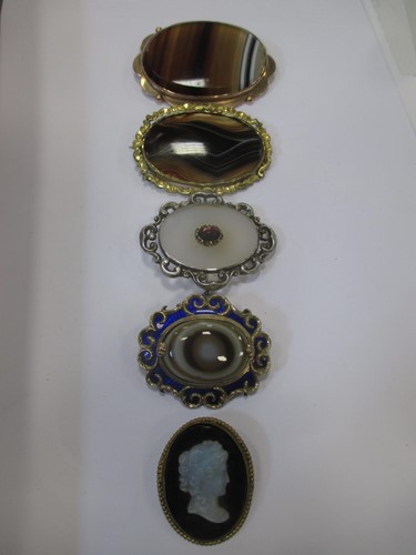 Lot 142 - A collection of four stone plaque brooches...