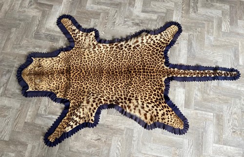 Lot 353 - A Leopard, (Panthera Pardus), a full skin rug by Roland Ward