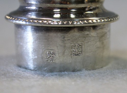 Lot 495 - A George III silver spice caster