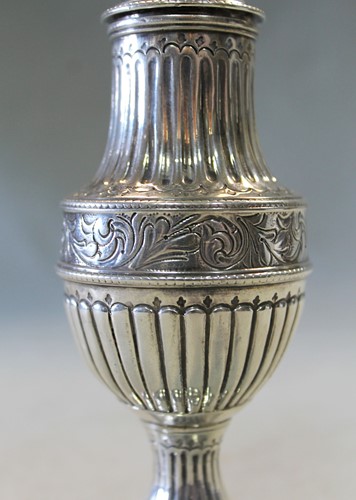 Lot 495 - A George III silver spice caster