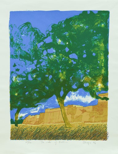 Lot 5 - T Sharpe The Walls of Katsina signed, titled...