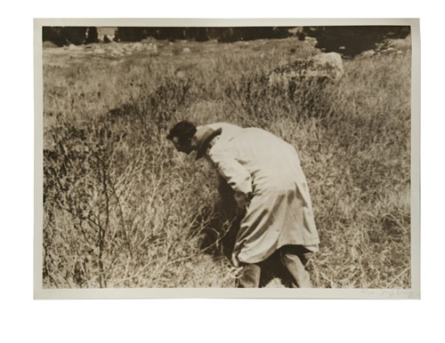 Lot 504 - Joseph Beuys (German 1921-1986)