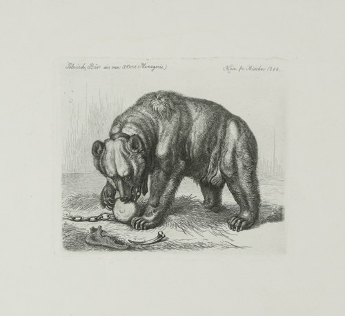 Lot 485 - Johann Adam Klein (German, 1792-1875)