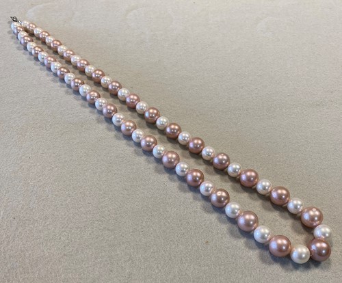Lot 147 - A row of candy pink and white Edison Freshwater cultured pearls of exceptional size
