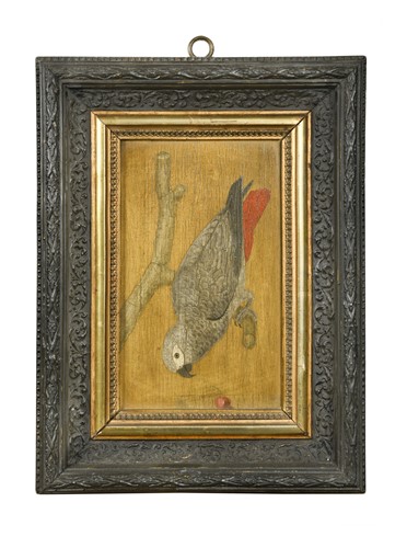 Lot 19 - A pair of painted studies of parrots, 19th century