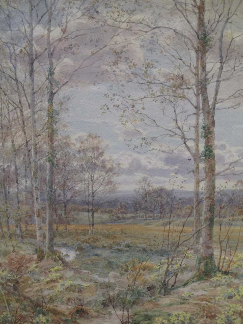 Lot 425 - Tom Hunn (1878-1908)