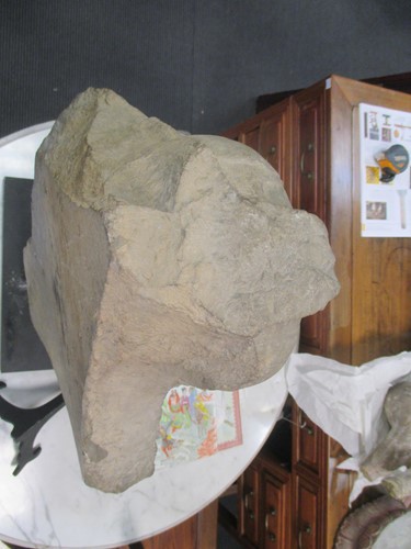 Lot 158 - A limestone Buddha, perhaps Northern Wei,...