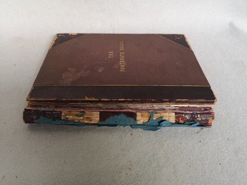 Lot 290 - CANARY ISLANDS, a travel journal, 1891.