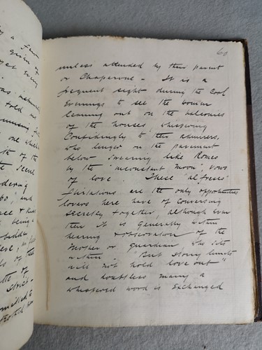 Lot 290 - CANARY ISLANDS, a travel journal, 1891.